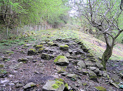 
Lower incline looking up, Llangattock, April 2010