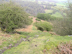
Upper incline looking down, Llangattock, April 2010