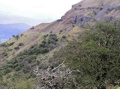 Chwar Mawr Tramroad, Llangattock, April 2010