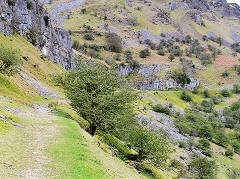 Chwar Mawr Tramroad, Llangattock, April 2010