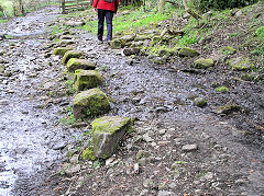 
Llangattock Tramroad sleepers, April 2010