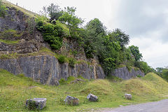 
Coed Pantydarren Quarry, Clydach Gorge, July 2014