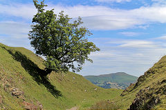 Pant-y-rhiw Quarry, Llangattock, July 2020