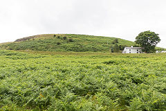 
Ty-yn-y-coed embankment, Clydach Gorge, July 2014