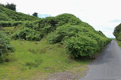 
Waun Watcyn Quarry beyond Caedcae Uchaf, Llangattock, July 2020