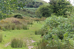 Waun Watcyn Tramroad at Coedcae Uchaf, Llangattock, July 2020