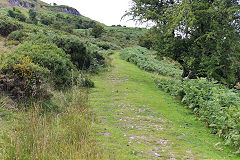 
Waun Watcyn Tramroad, Llangattock, July 2020