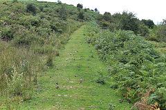 Waun Watcyn Tramroad, Llangattock, July 2020