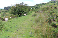 Waun Watcyn Tramroad looking back to Coedcae Uchaf, Llangattock, July 2020