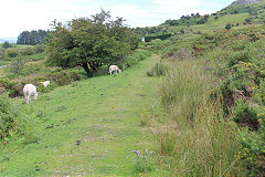 
Waun Watcyn Tramroad looking back to Coedcae Uchaf, Llangattock, July 2020