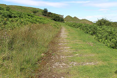 
Waun Watcyn Tramroad, Llangattock, July 2020