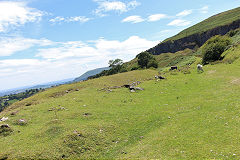 
Waun Watcyn Tramroad looking back downhill, Llangattock, July 2020