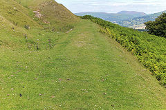 Waun Watcyn Tramroad, Llangattock, July 2020