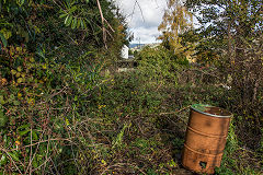 
The Glangrwyney branch above Dan-y-bont Woollen Mill, Gilwern, November 2019