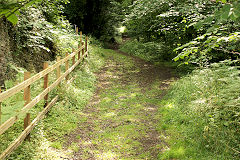 
Clydach Ironworks incline, August 2010