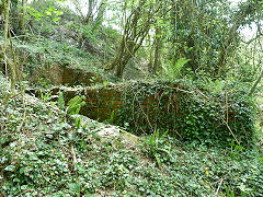 
According to the 1960s OS map, this was a 'tank', for sewage I suspect, however just the foundations exist now, Clydach, May 2012