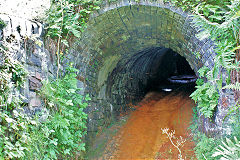 
Gellifelen Colliery drainage level,August 2010