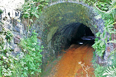 
Gellifelen Colliery drainage level,August 2010