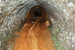 
Gellifelen Colliery drainage level,August 2010