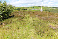 
Gellifelen Colliery, middle tips from the level, July 2020