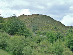 
Gellifelen Colliery, upper tips, July 2012