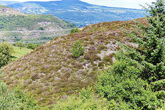 
Gellifelen Colliery, upper tips, July 2020