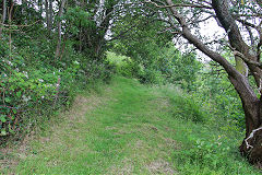 
Llammarch BA Tramroad, Llanelly Hill, July 2020'