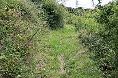 
Llammarch BA Tramroad, Llanelly Hill, July 2020'