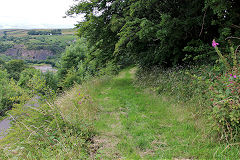 
Llammarch BA Tramroad, Llanelly Hill, July 2020'