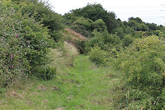 
Llammarch BA Tramroad, Llanelly Hill, July 2020'