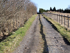 
Incline from the Balance Pit to the Llammarch Tramroad, March 2021'