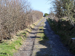 
Incline from the Balance Pit to the Llammarch Tramroad, March 2021'