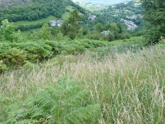 
This is the top of the 1811 incline 9 that came up from Llanelly Quarry, where it met tramroad link 8 and the foot of incline 13 from Waunllapria, July 2012