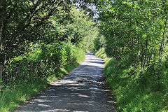 
Llammarch Tramroad from Cwm Nant Gam old levels,  July 2020