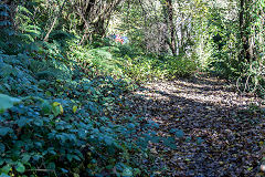 
Along the Llammarch Tramroad to Gilwern, November 2019