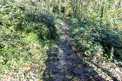 
Along the Llammarch Tramroad to Gilwern, November 2019