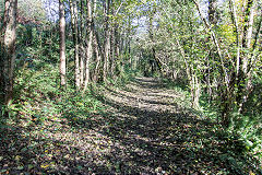 
Along the Llammarch Tramroad to Gilwern, November 2019