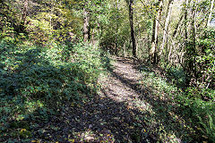 
Along the Llammarch Tramroad to Gilwern, November 2019