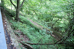 
Llammarch 1811 inclines 10 and 11, Llanelly Hill, August 2010