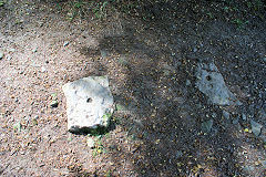 
Llammarch 1811 tramroad sleepers, Clydach, August 2010