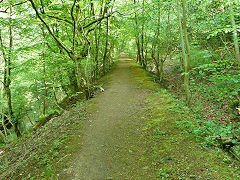 
Llammarch 1811 tramroad, spur and leat beside river, Clydach, May 2012