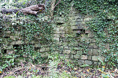 
Llanelly Forge dam, November 2019