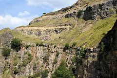 
Clydach Quarry South upper galleries, August 2010