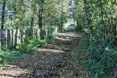 
Baileys Govilon Tramroad, Govilon, October 2019