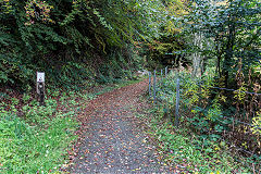 
Baileys Govilon Tramroad around the Gellifelen tunnels, October 2019