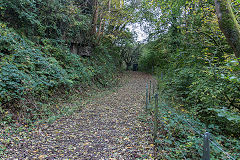 
Baileys Govilon Tramroad around the Gellifelen tunnels, October 2019