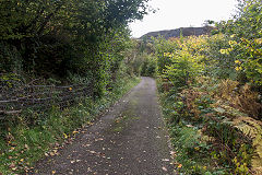 
Baileys Govilon Tramroad around the Gellifelen tunnels, October 2019