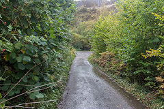 
Baileys Govilon Tramroad around the Gellifelen tunnels, October 2019