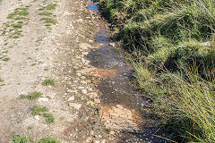 
Tramroad sleepers near causeway, August 2016