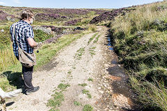 
Tramroad sleepers near causeway, August 2016